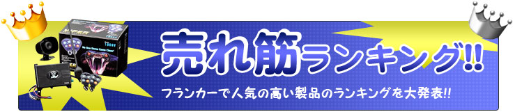 カーセキュリティー　売れ筋ランキング