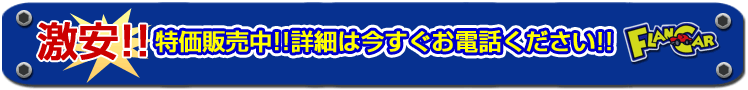 フランカー株式会社　ナビ　特価バナー